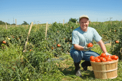 payroll services, H-2A visas, employment foreign workers